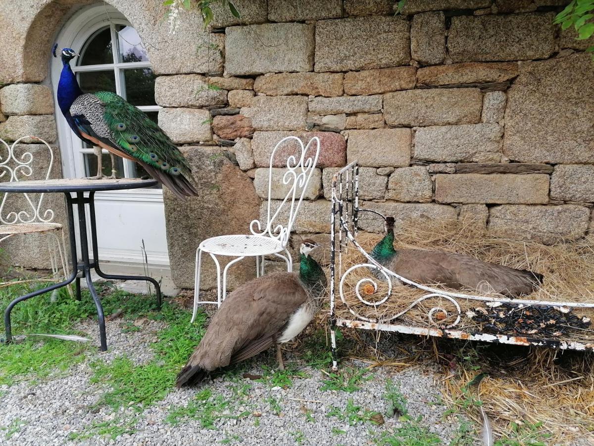 Frairie Du Divit Acomodação com café da manhã Pontivy Exterior foto